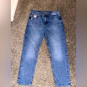 American Eagle Slim 90’s Boyfriend Jean